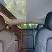 Sonnenschutz "SKYLIGHT" für Tesla Model Y | e-car-shop.com